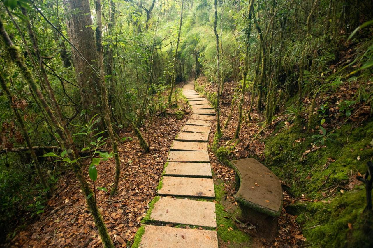 Dantica Cloud Forest Lodge San Gerardo de Dota Εξωτερικό φωτογραφία