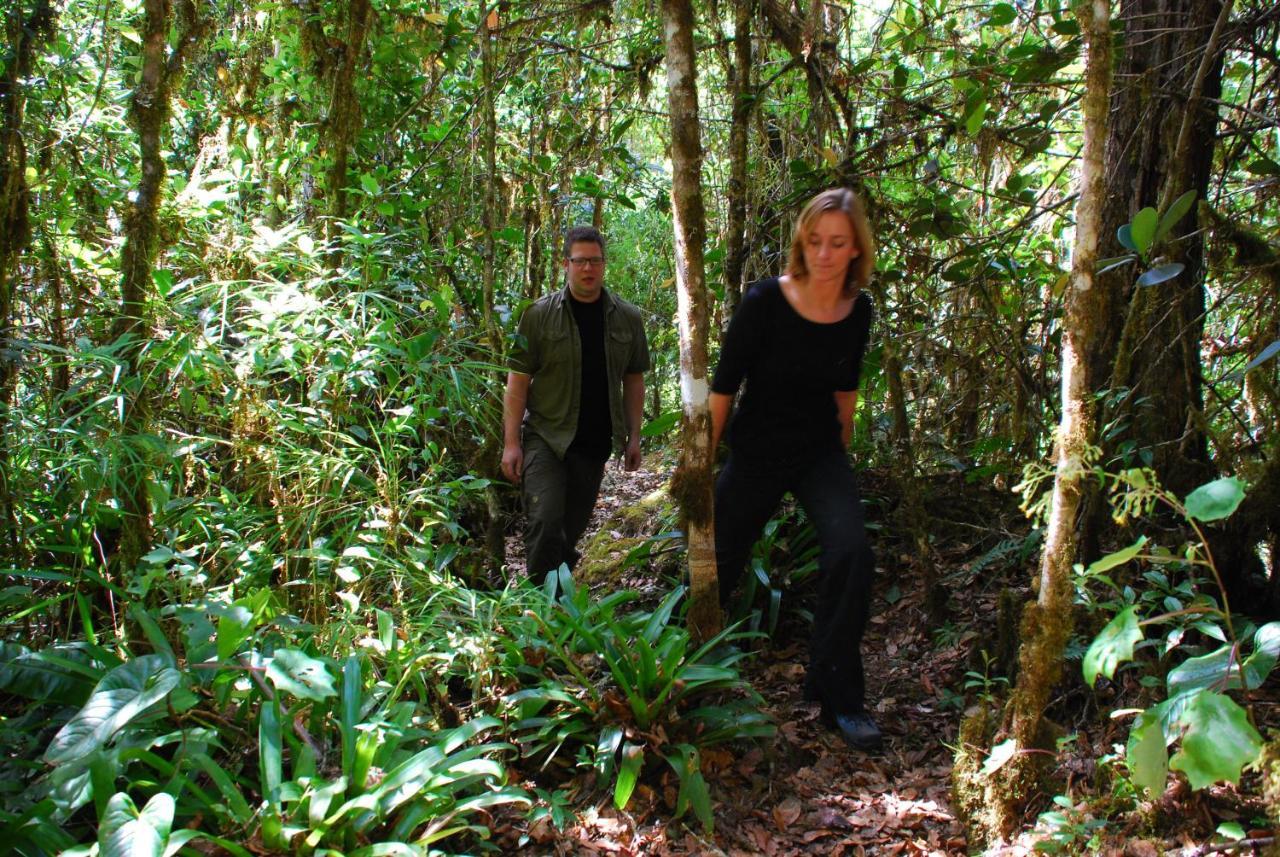 Dantica Cloud Forest Lodge San Gerardo de Dota Εξωτερικό φωτογραφία