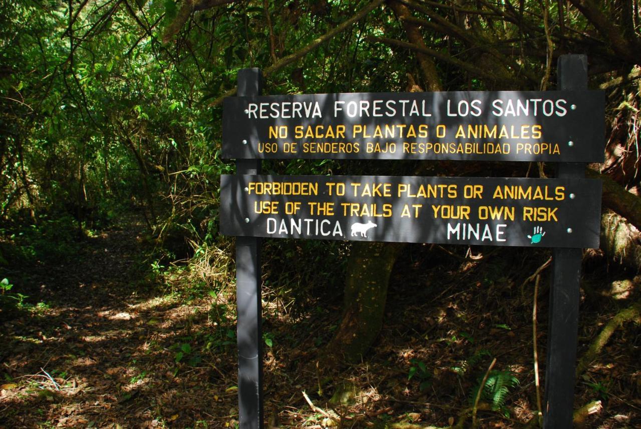 Dantica Cloud Forest Lodge San Gerardo de Dota Εξωτερικό φωτογραφία