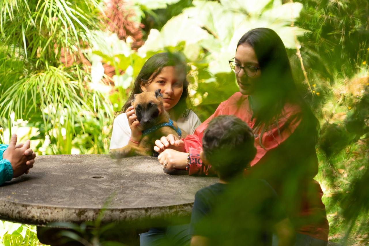 Dantica Cloud Forest Lodge San Gerardo de Dota Εξωτερικό φωτογραφία