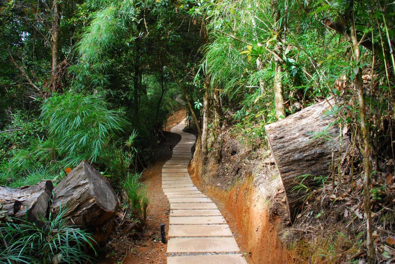 Dantica Cloud Forest Lodge San Gerardo de Dota Εξωτερικό φωτογραφία