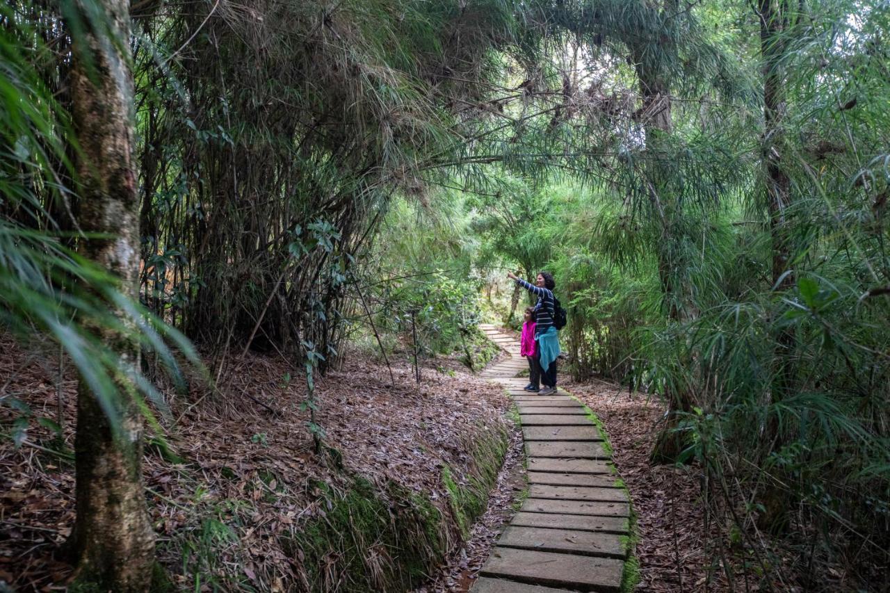 Dantica Cloud Forest Lodge San Gerardo de Dota Εξωτερικό φωτογραφία