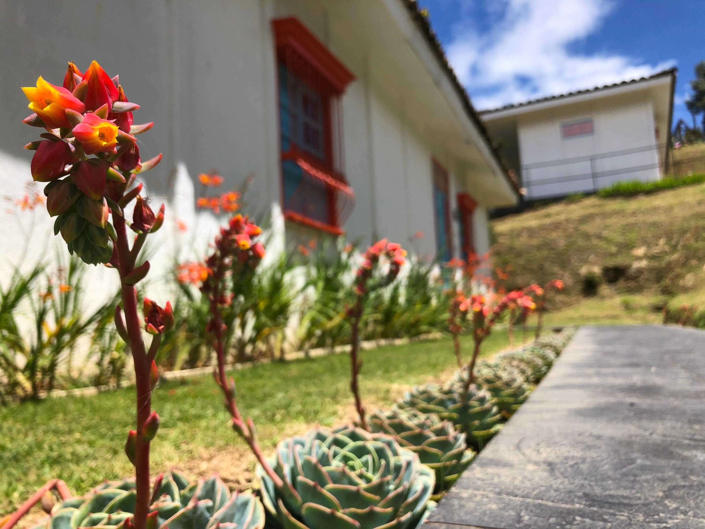 Dantica Cloud Forest Lodge San Gerardo de Dota Εξωτερικό φωτογραφία