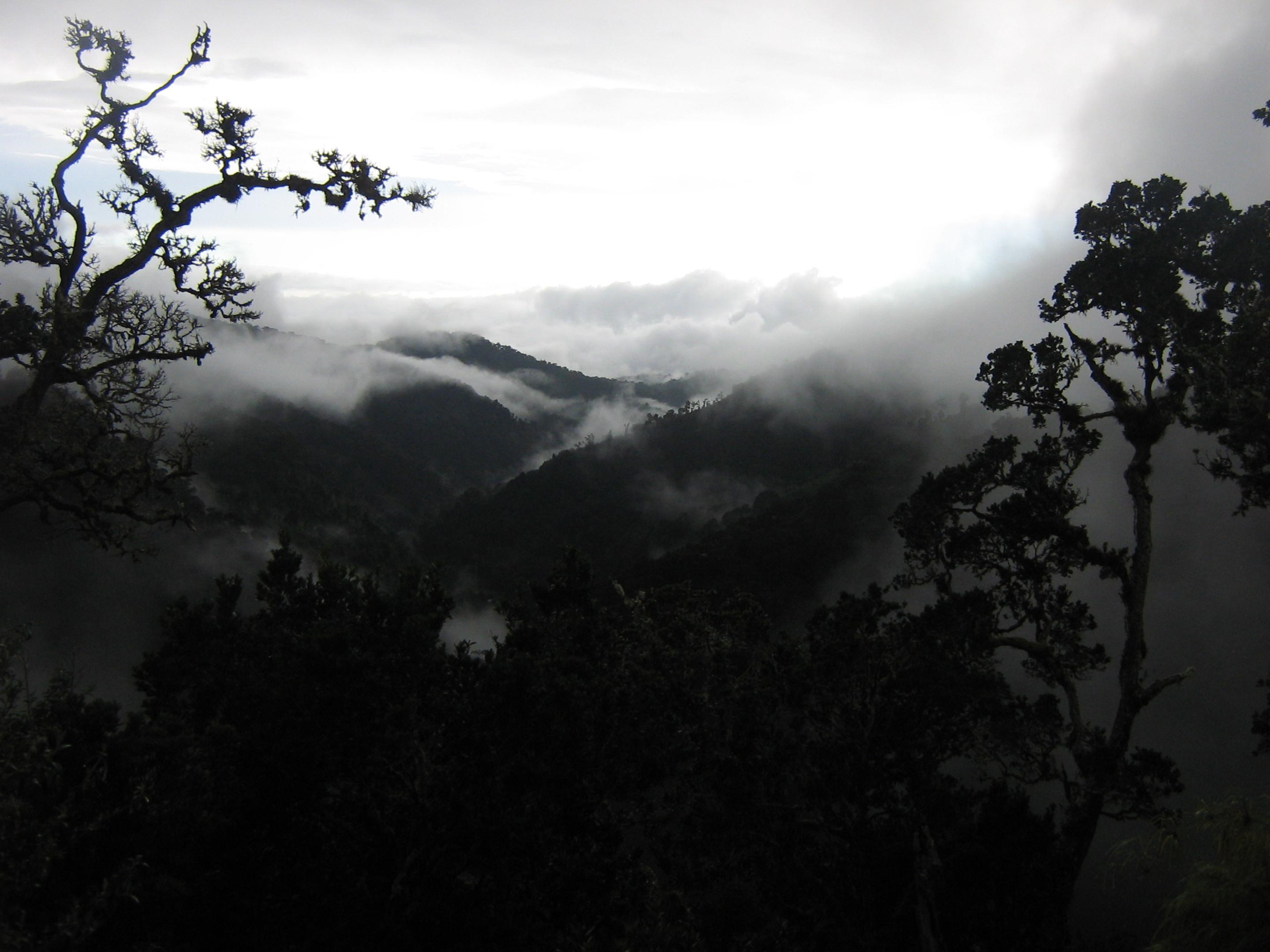 Dantica Cloud Forest Lodge San Gerardo de Dota Εξωτερικό φωτογραφία