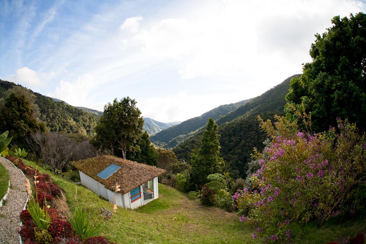 Dantica Cloud Forest Lodge San Gerardo de Dota Εξωτερικό φωτογραφία